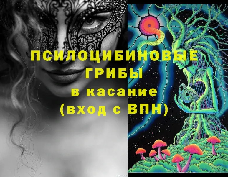 Псилоцибиновые грибы Psilocybe  Чишмы 